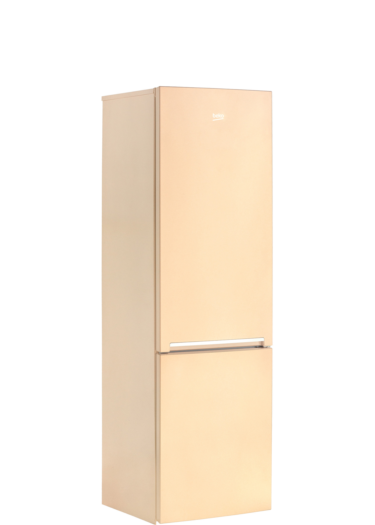 RCSK310M20SB